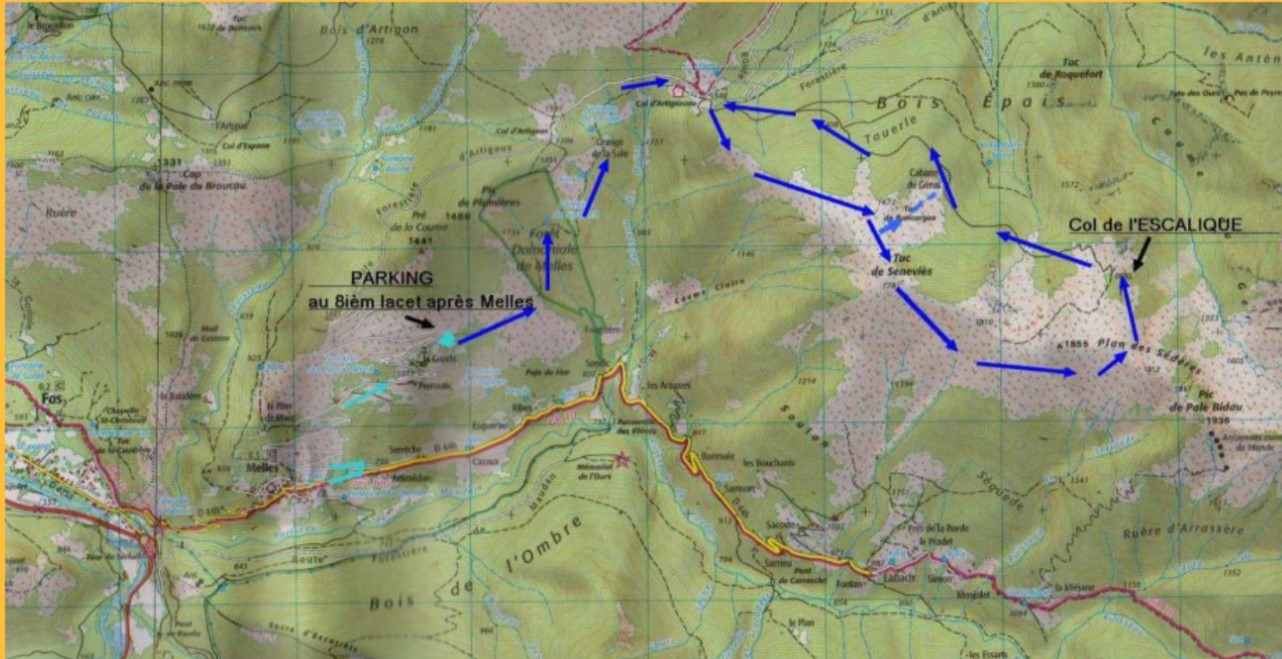 carte sederes